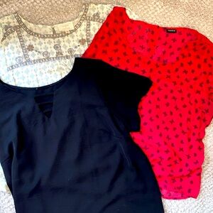 Women’s 2X Tops Torrid and SHEIN multiple items